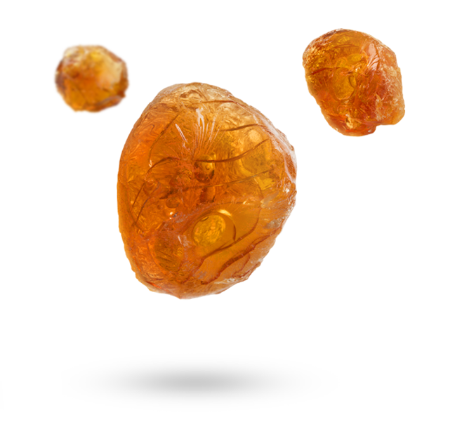 gum_arabic-resized-cropped