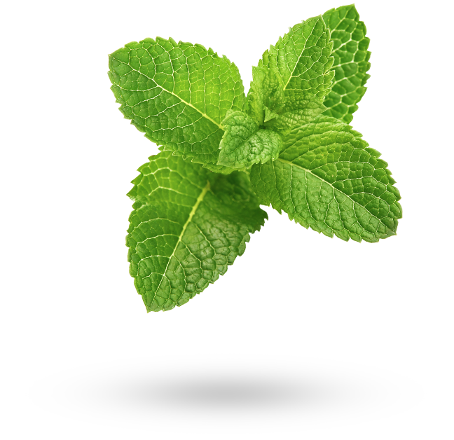 mint-cropped