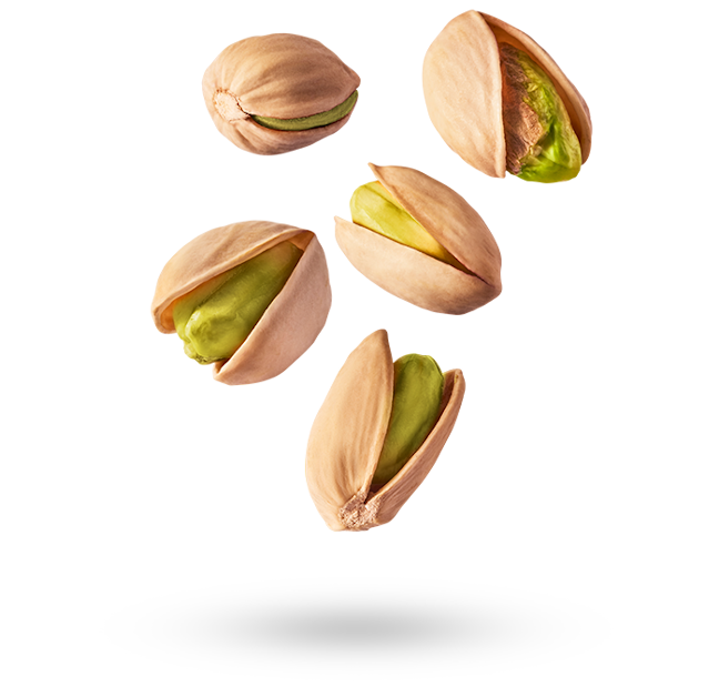 nuts-cropped